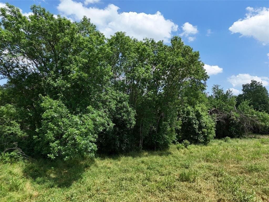9 acres in Fannin County gallery image 4