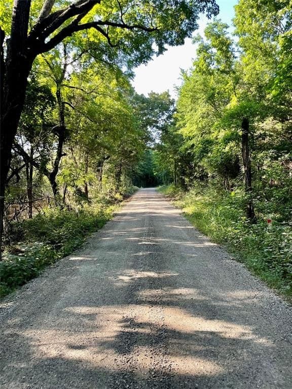 9 acres in Fannin County gallery image 2