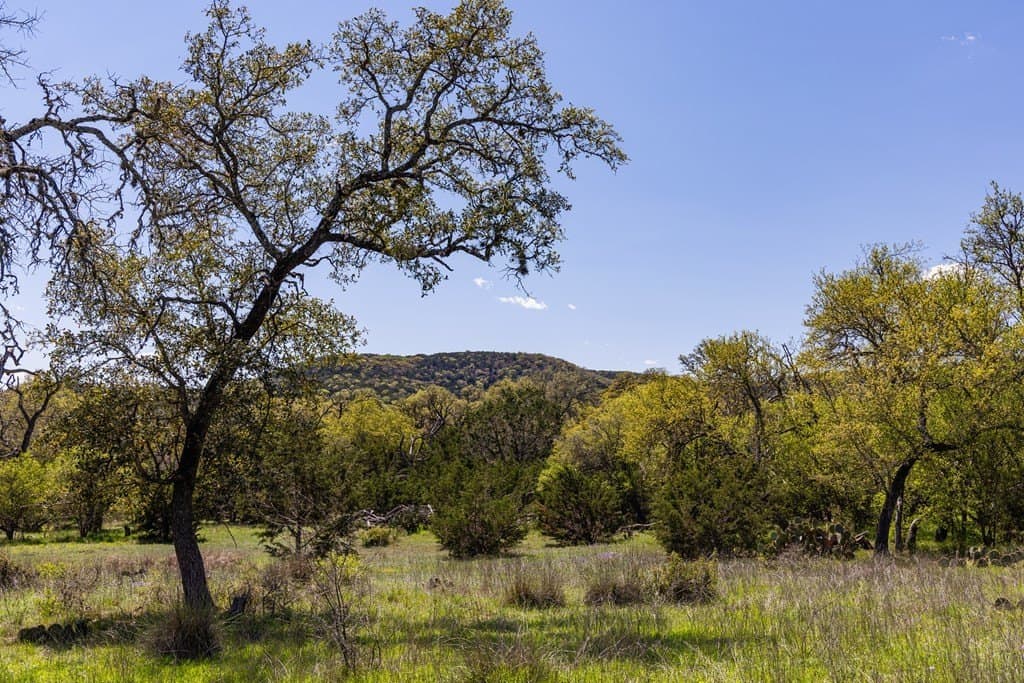 150 acres in Bandera County gallery image 2