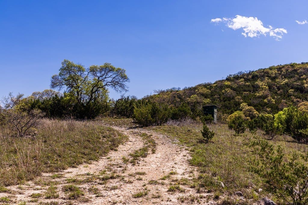 150 acres in Bandera County - photo 7