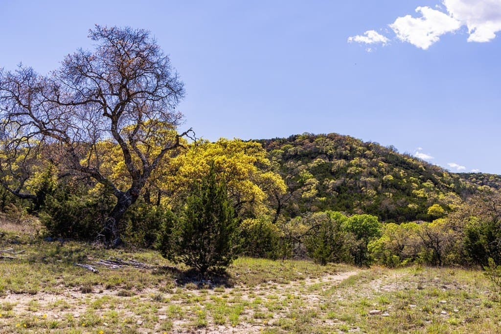 150 acres in Bandera County gallery image 4