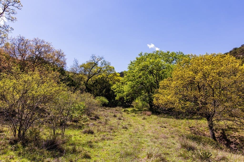 150 acres in Bandera County - photo 6