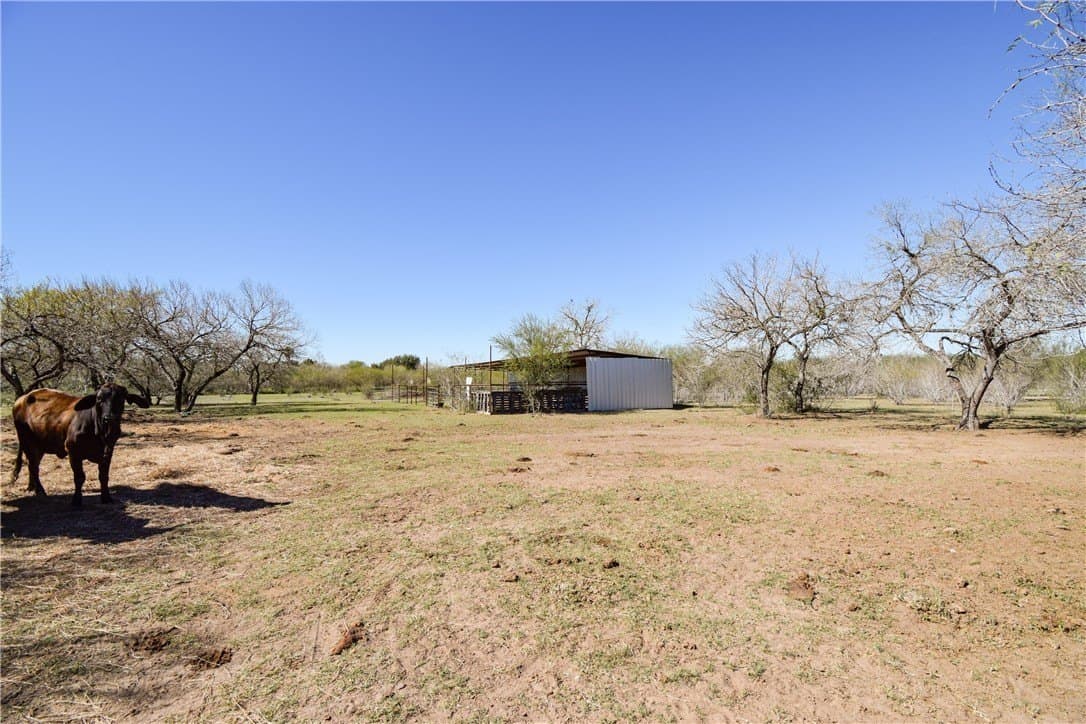 15 acres in San Patricio County - photo 26