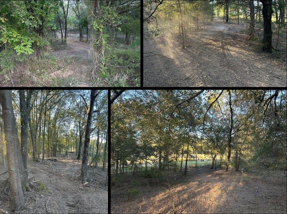 4 acres in Lamar County gallery image 2