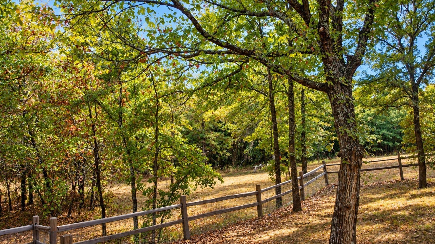 12.95 acres in Parker County - photo 26