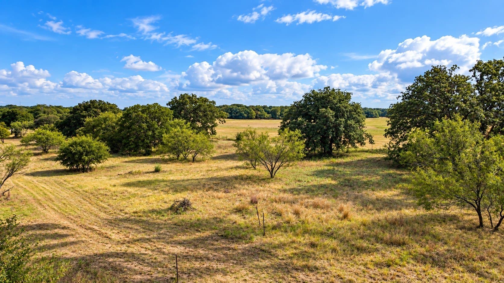 12.95 acres in Parker County - photo 33