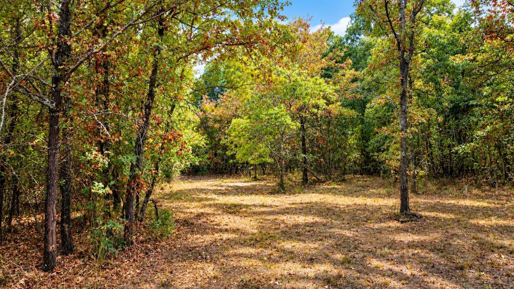 12.95 acres in Parker County - photo 31