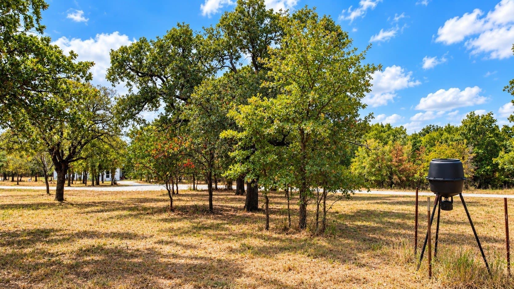 12.95 acres in Parker County - photo 37