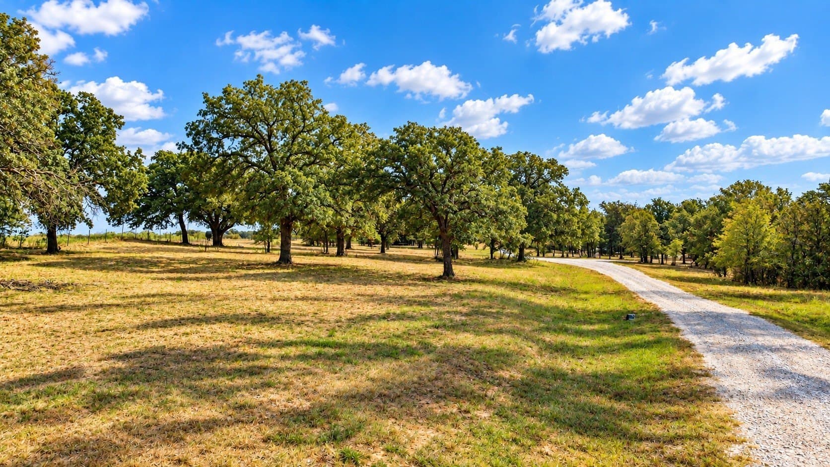 12.95 acres in Parker County - photo 38