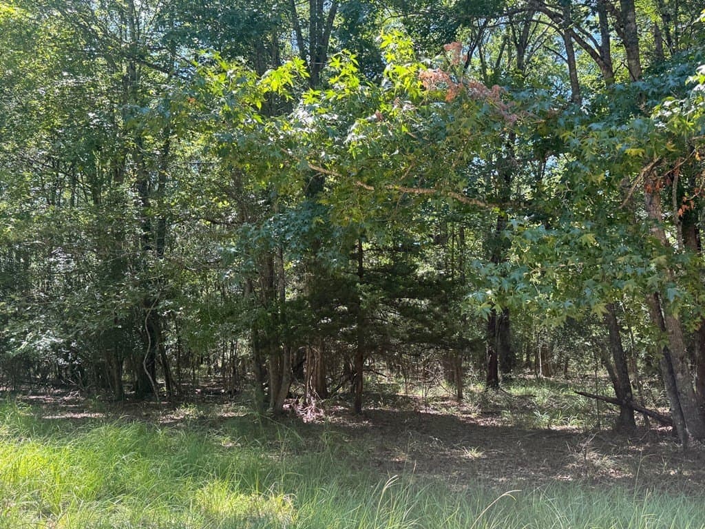 20.97 acres in Texas County gallery image 4