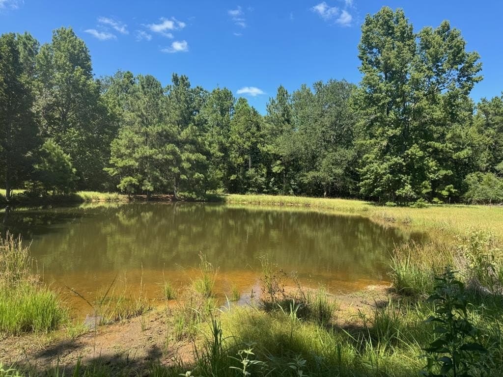 20.97 acres in Texas County