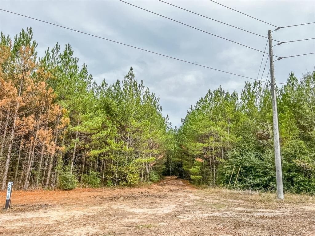 3.2 acres in Liberty County gallery image 2