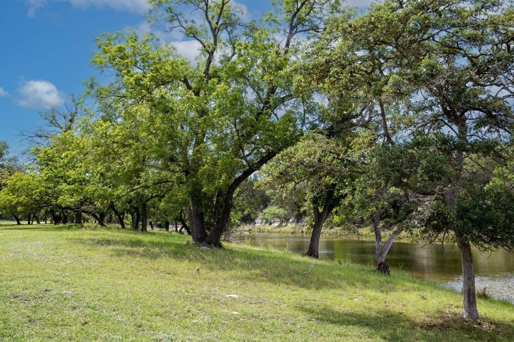 16.2 acres in Gillespie County - photo 39
