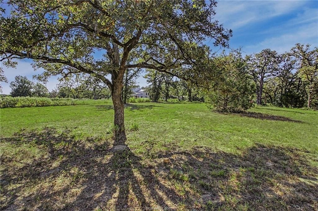 11.38 acres in Milam County - photo 31