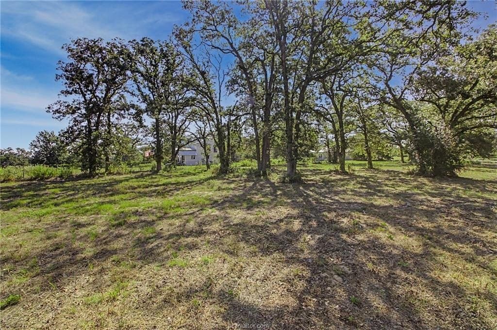 11.38 acres in Milam County - photo 30
