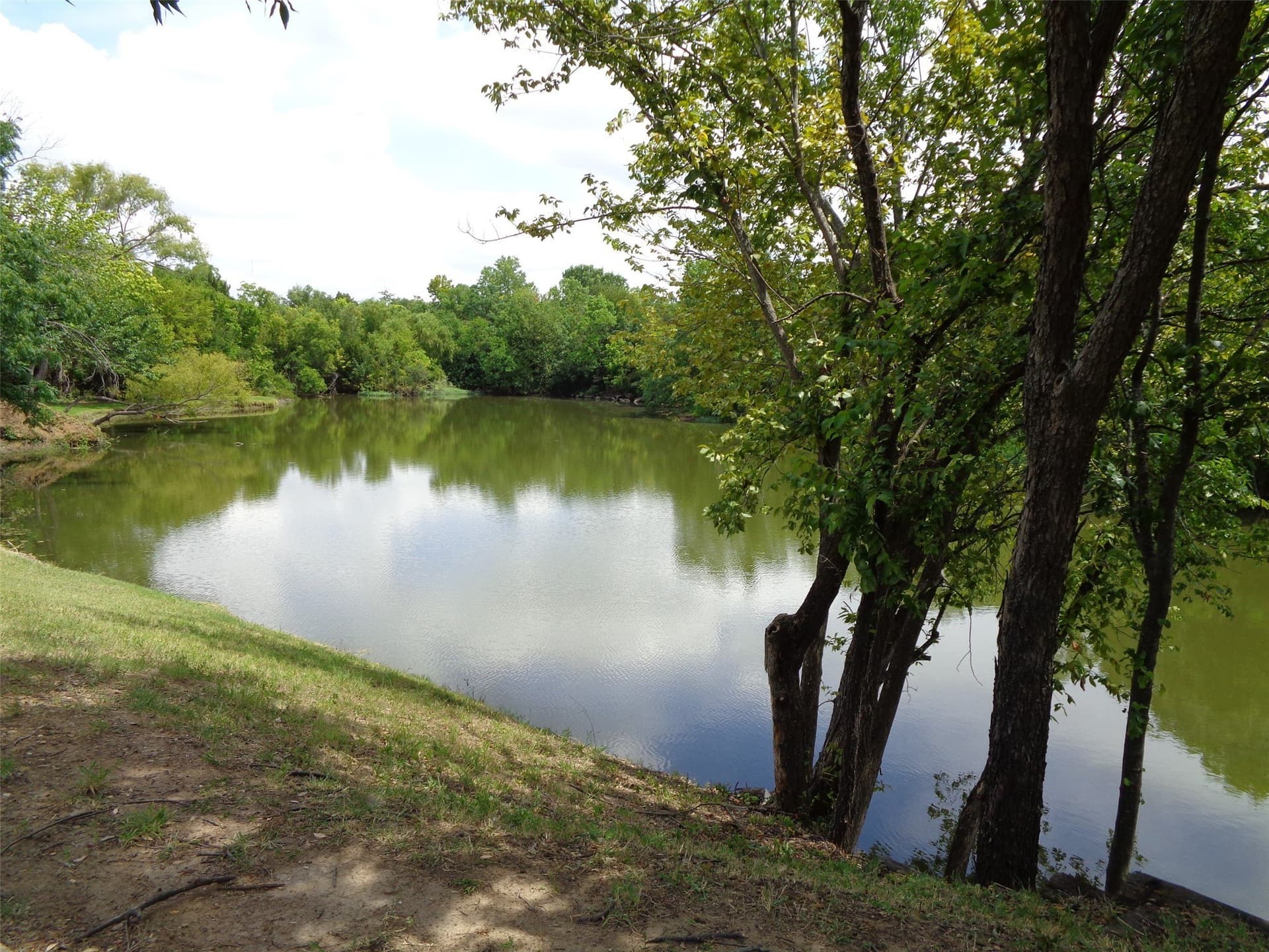 13.02 acres in Dallas County - photo 19