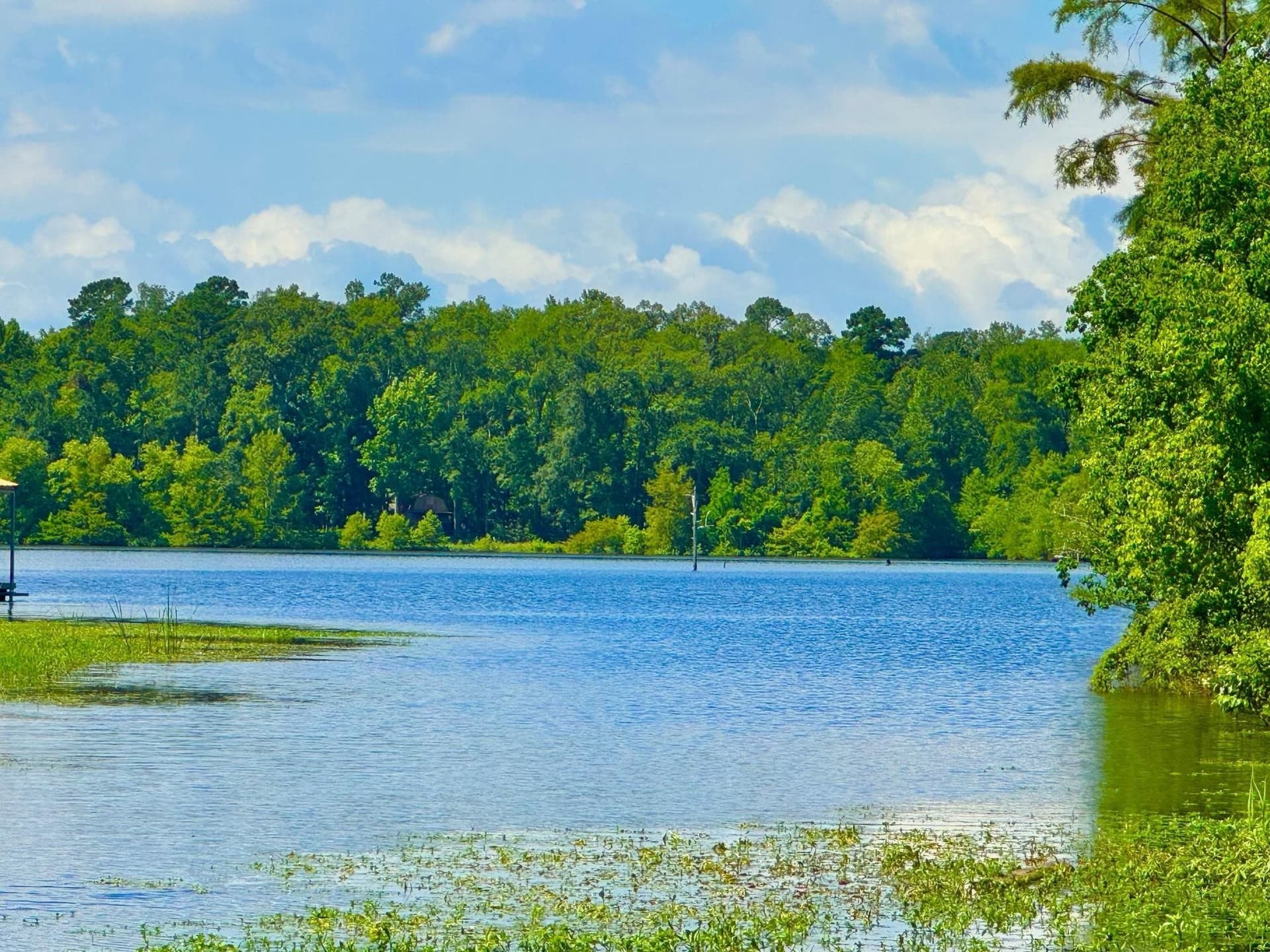 2.07 acres in Texas County - photo 9