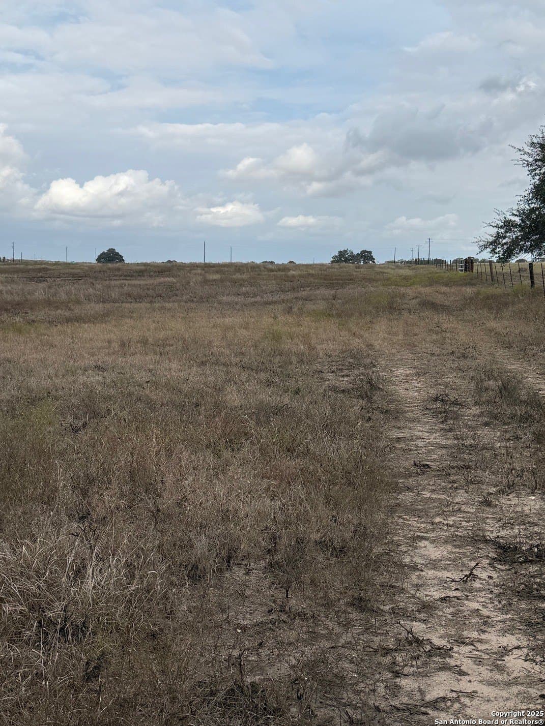 189.53 acres in Karnes County gallery image 4