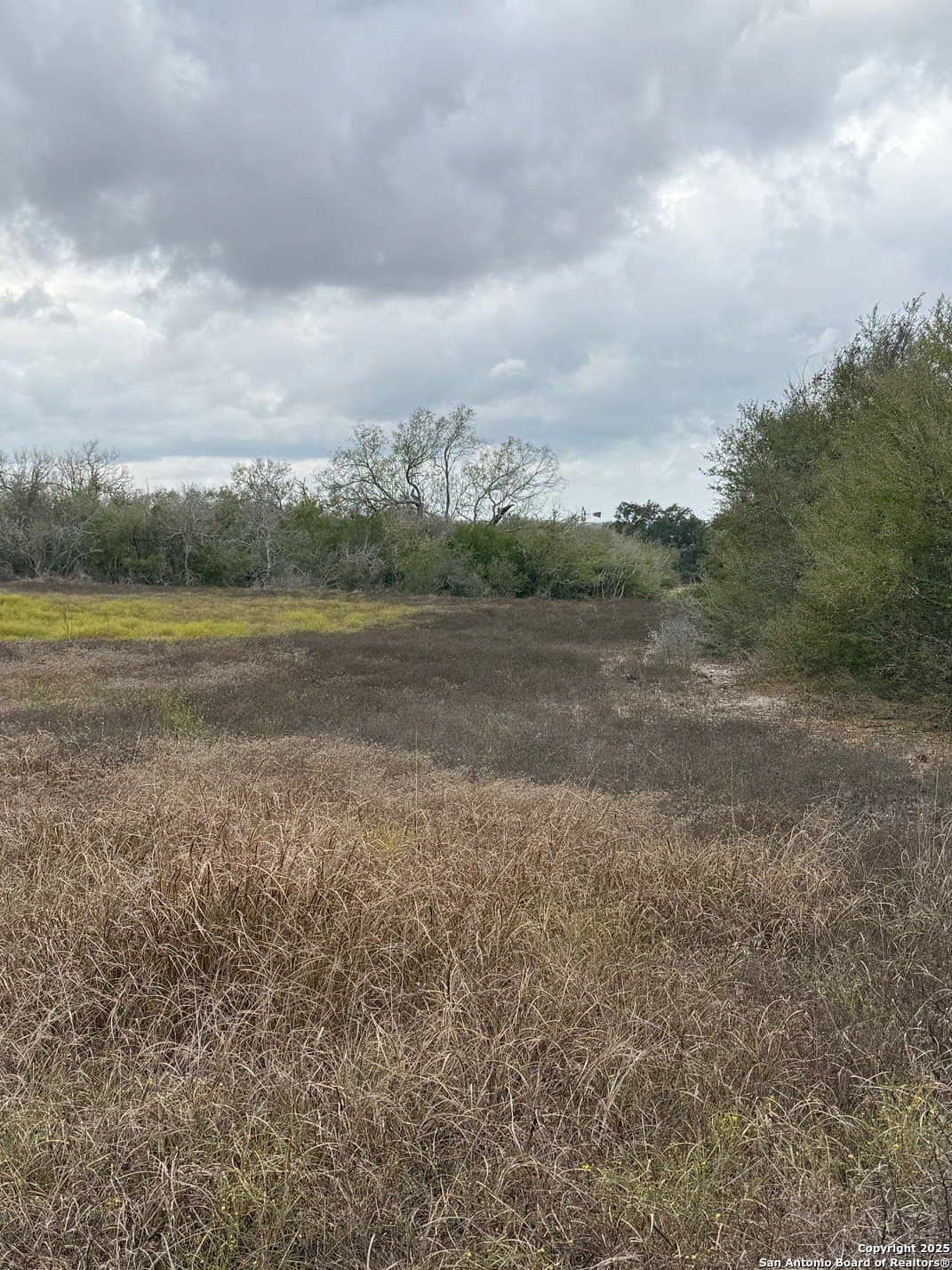 189.53 acres in Karnes County gallery image 3