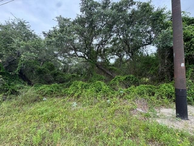 2.43 acres in Texas County