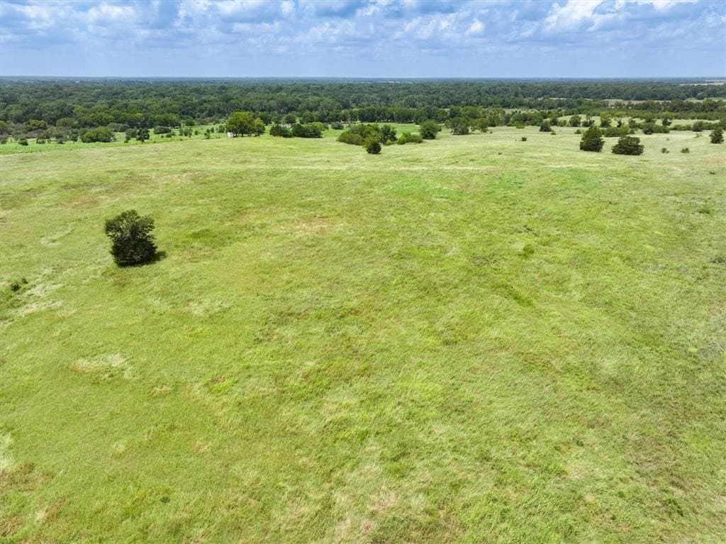 57.07 acres in Van Zandt County gallery image 4
