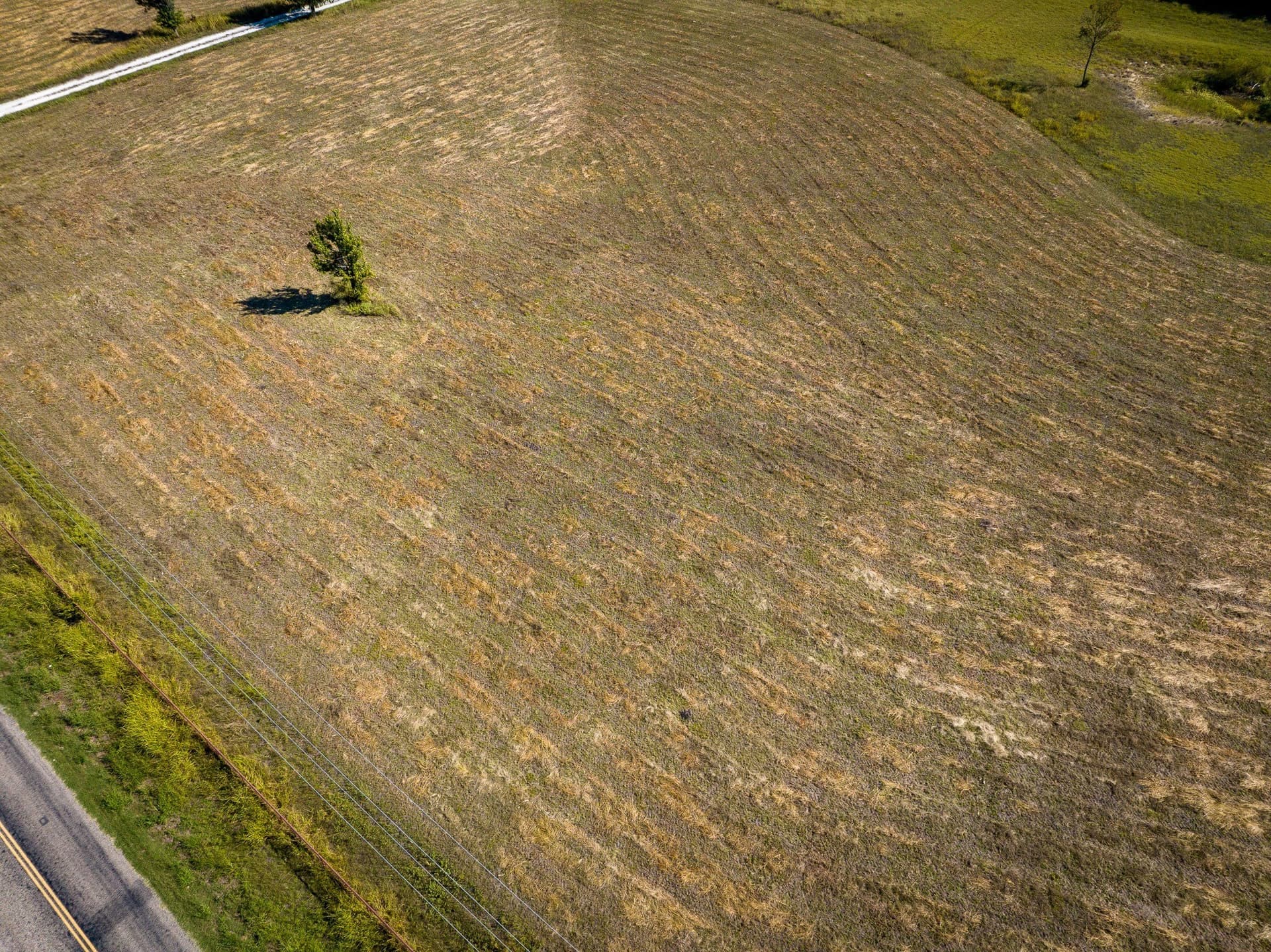 3.25 acres in Collin County - photo 8