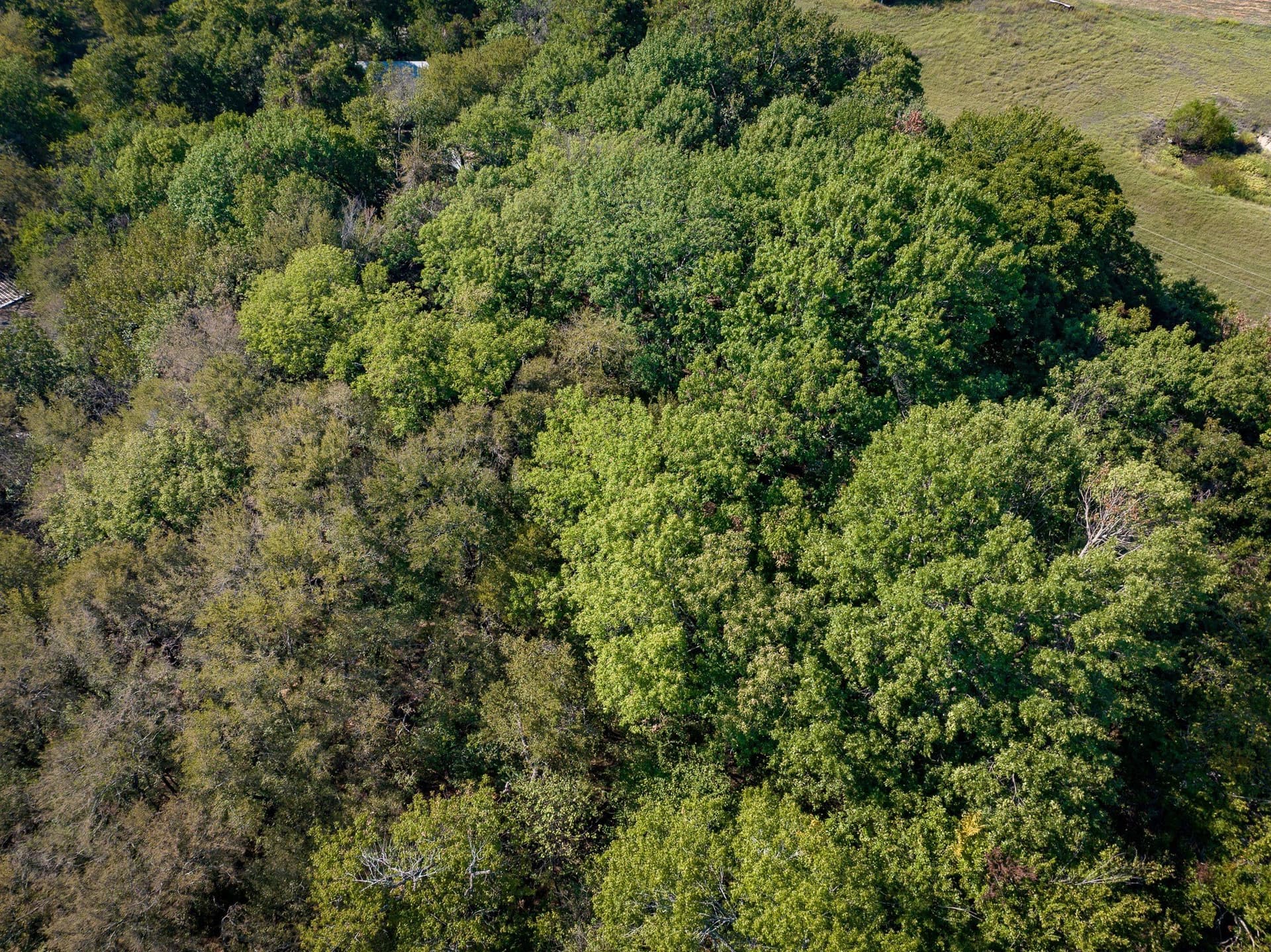 3.25 acres in Collin County - photo 5