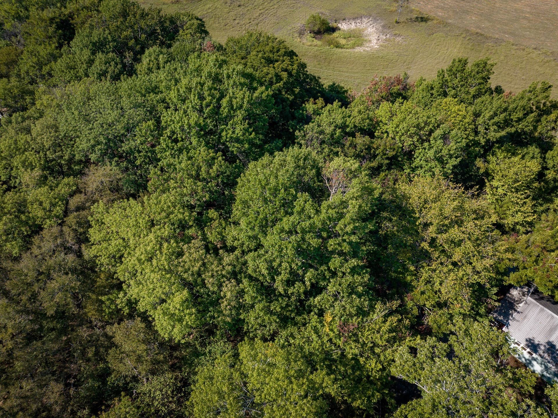 3.25 acres in Collin County - photo 6