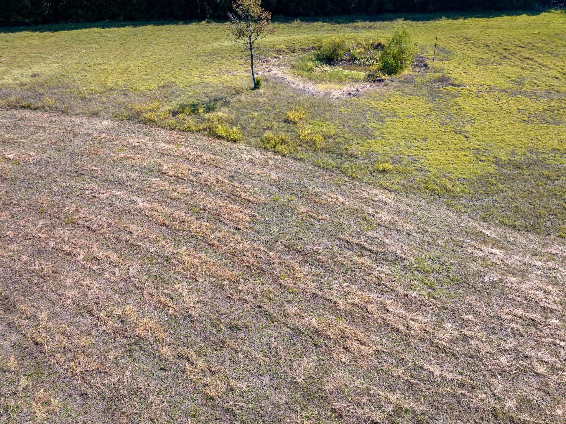 3.25 acres in Collin County - photo 12