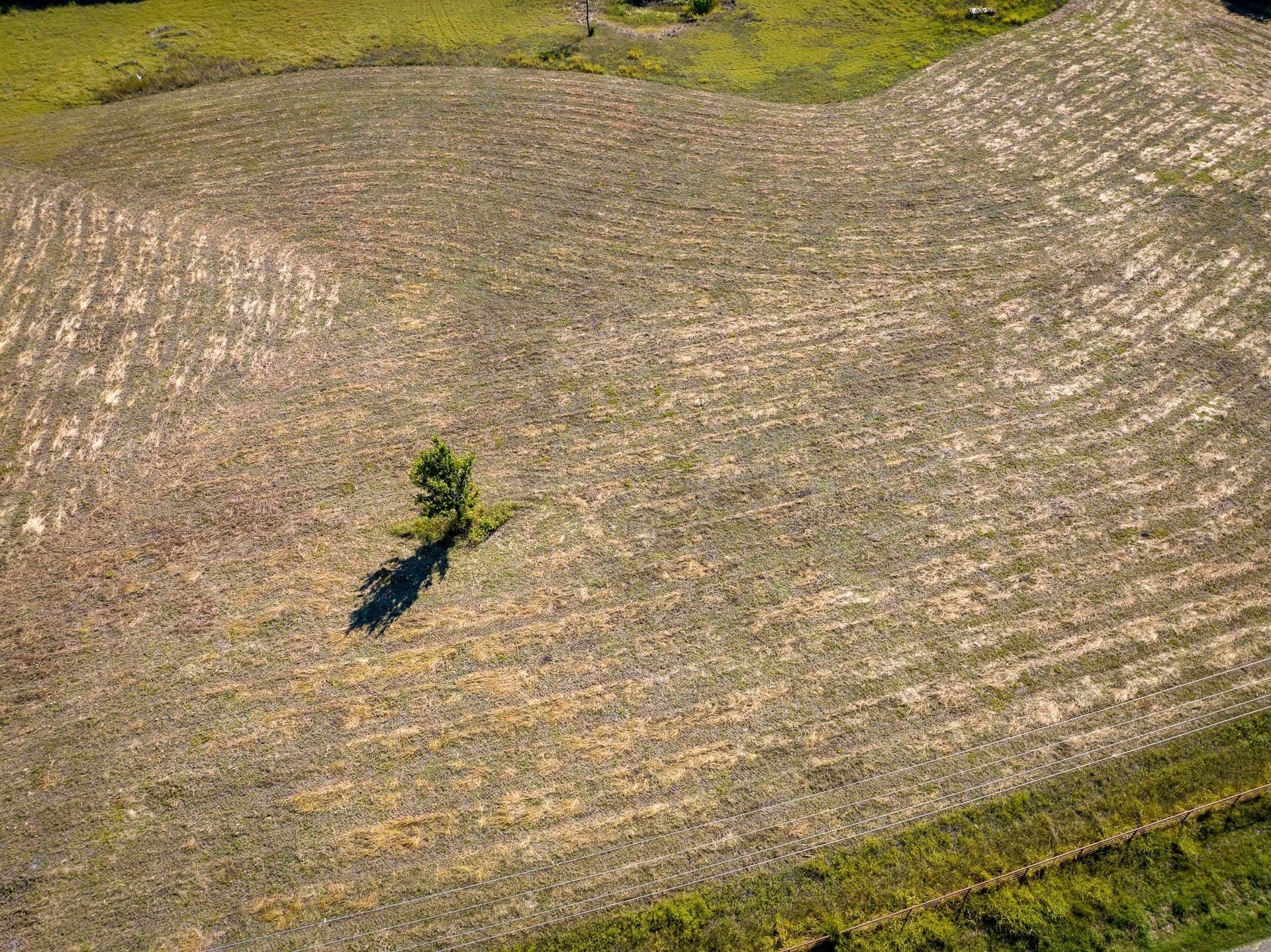 3.25 acres in Collin County - photo 10