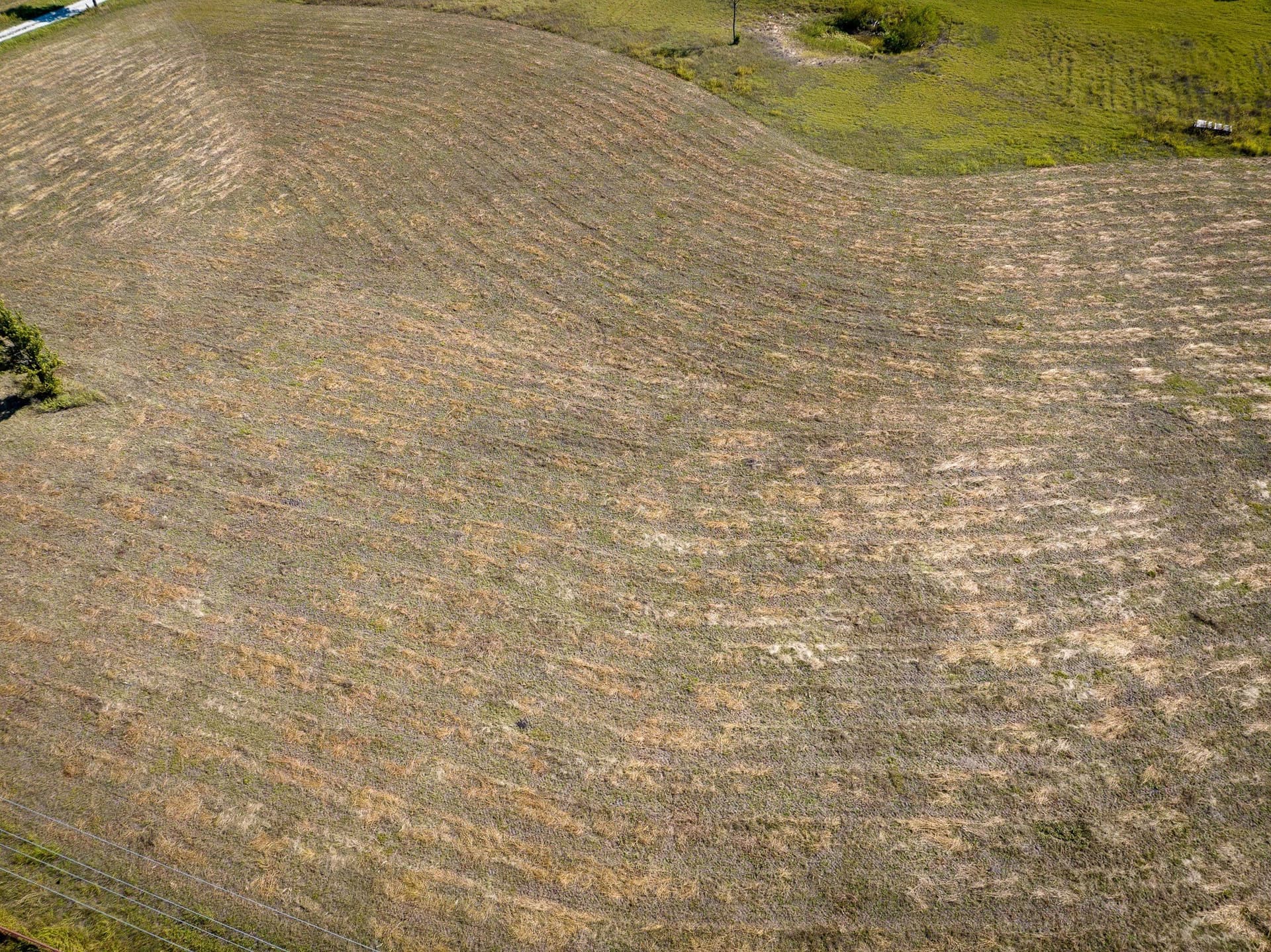 3.25 acres in Collin County - photo 9