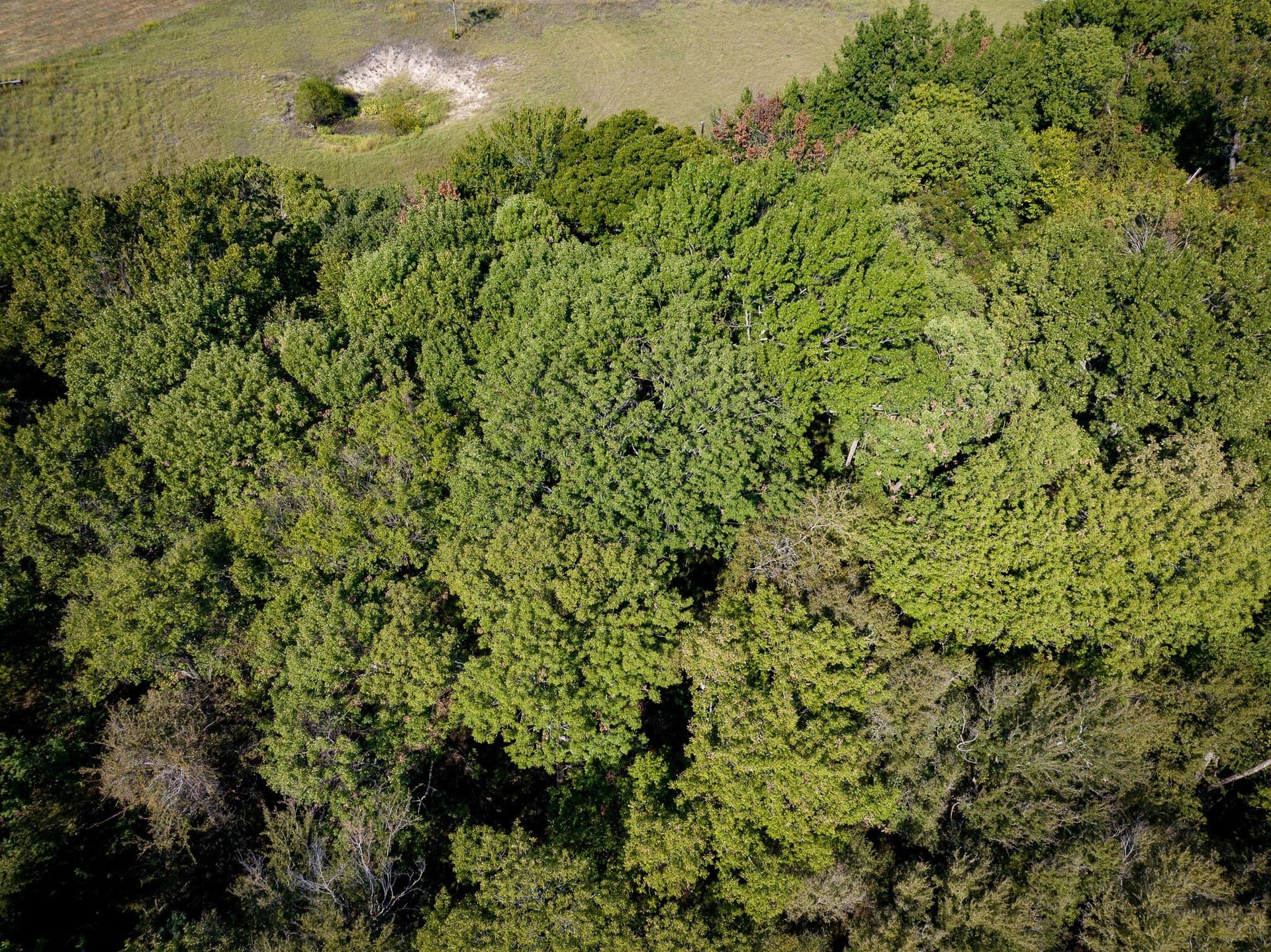 3.25 acres in Collin County - photo 4