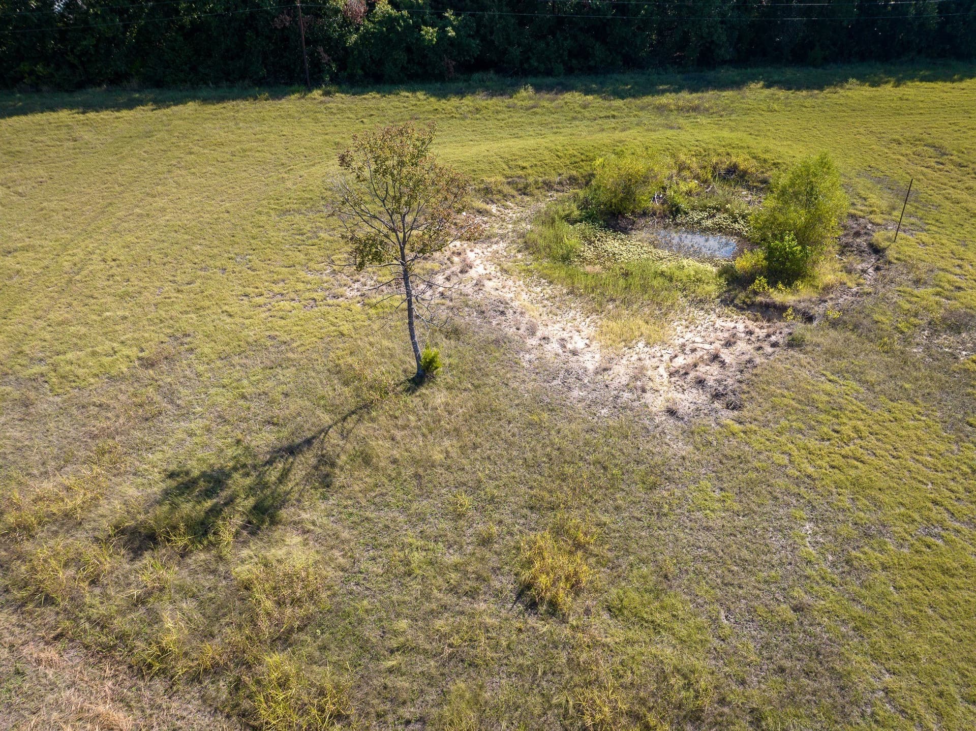 3.25 acres in Collin County - photo 13