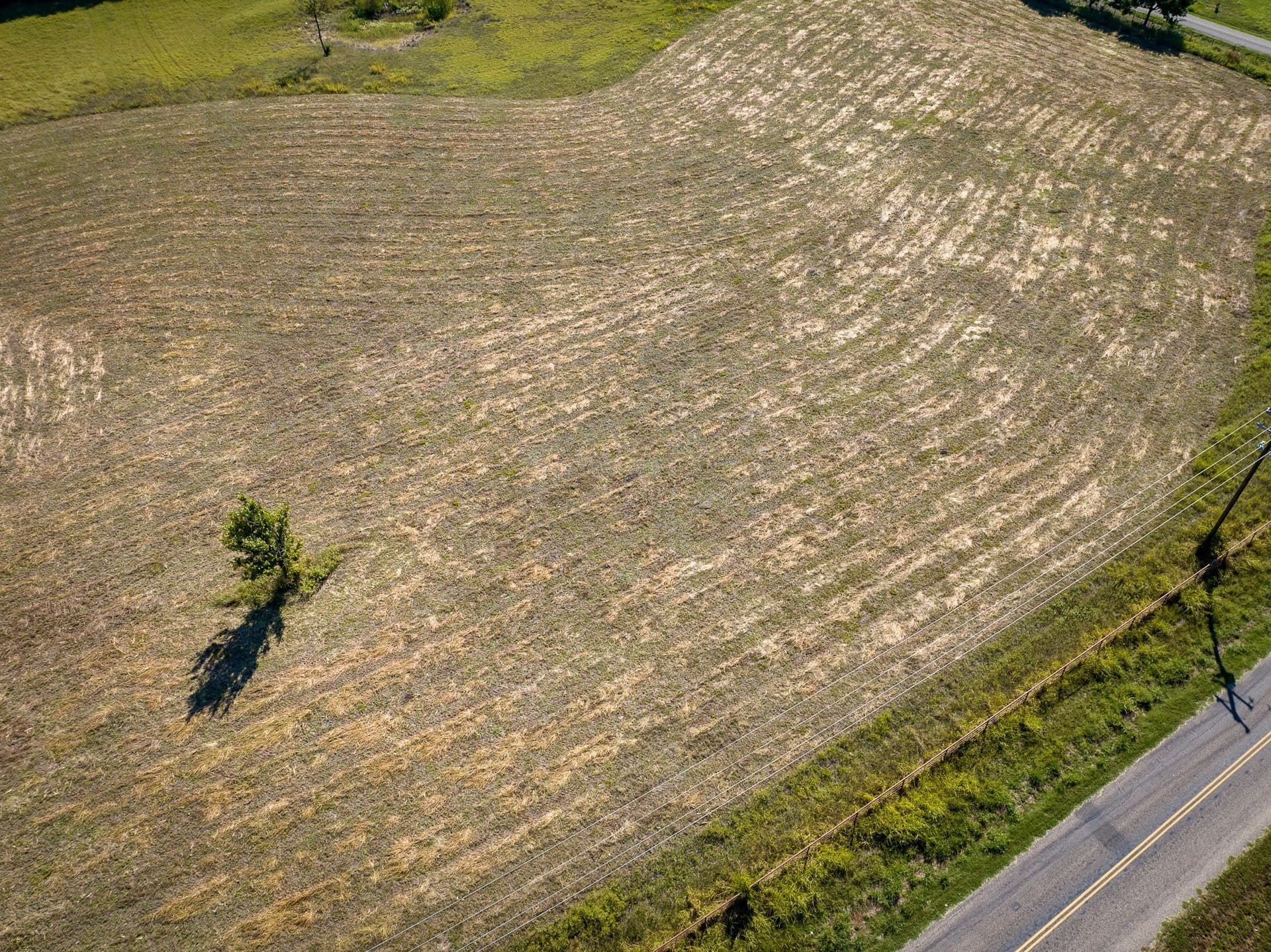 3.25 acres in Collin County - photo 11