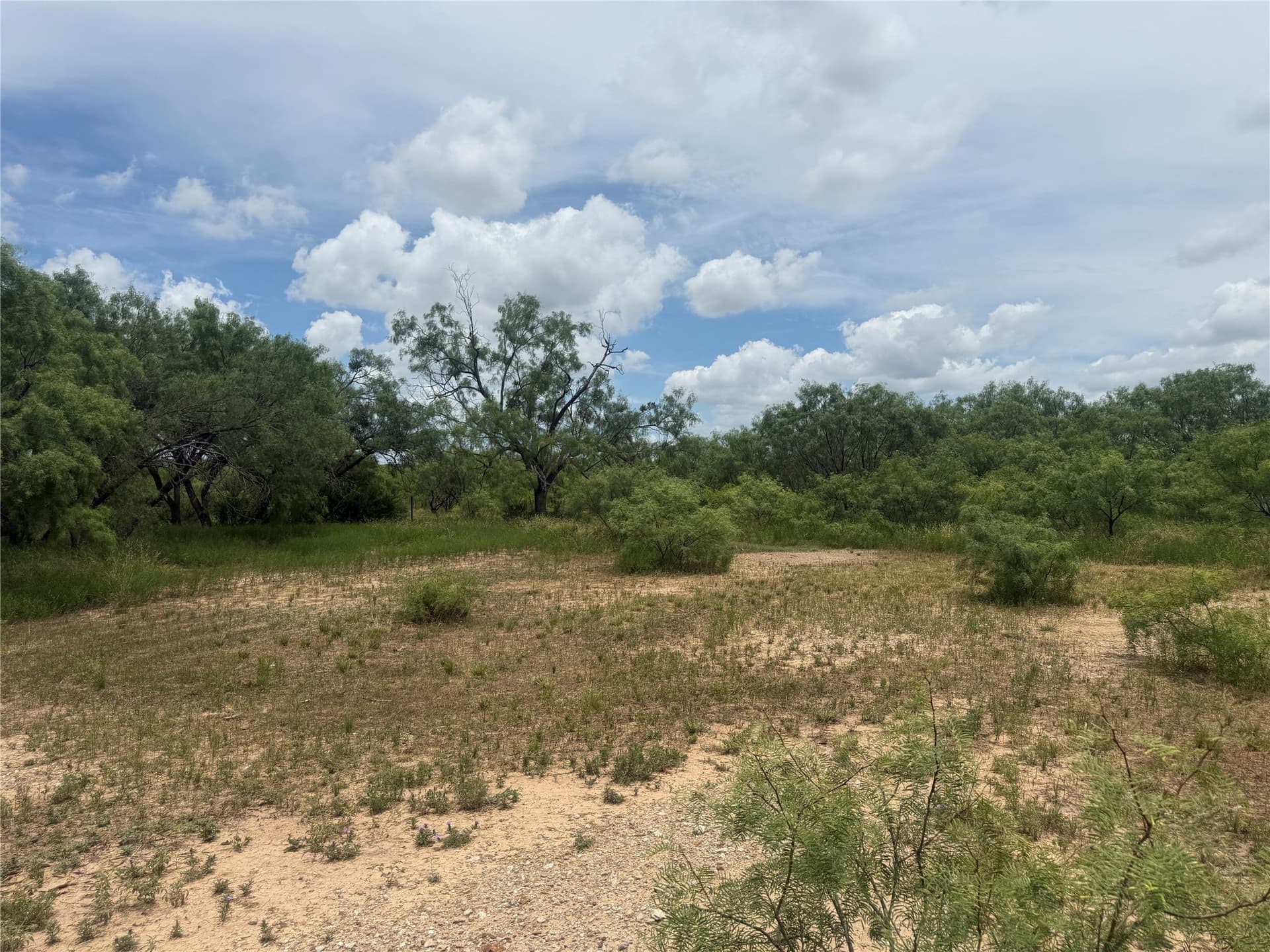 2 acres in Brown County gallery image 3