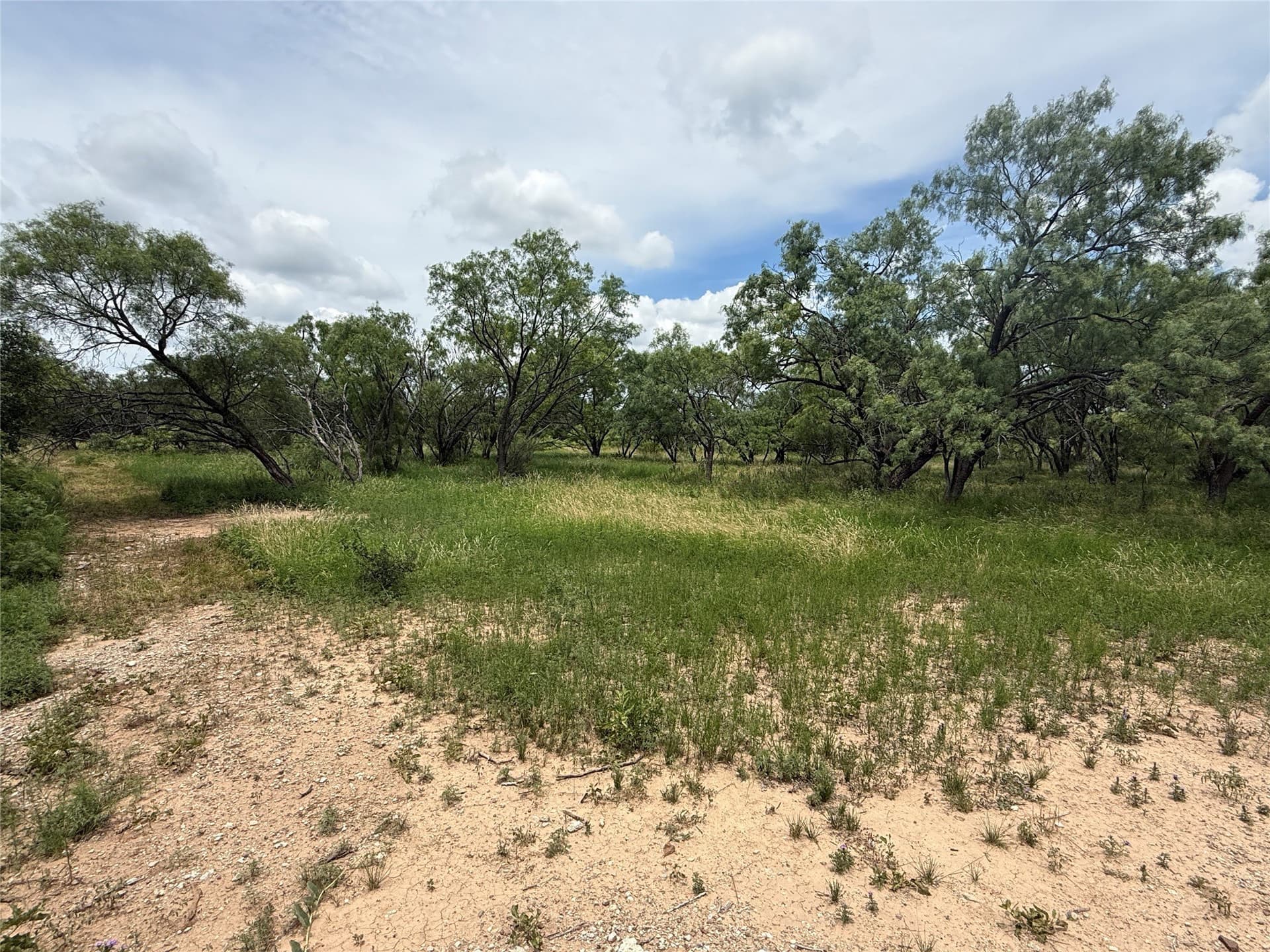 2 acres in Brown County featured view