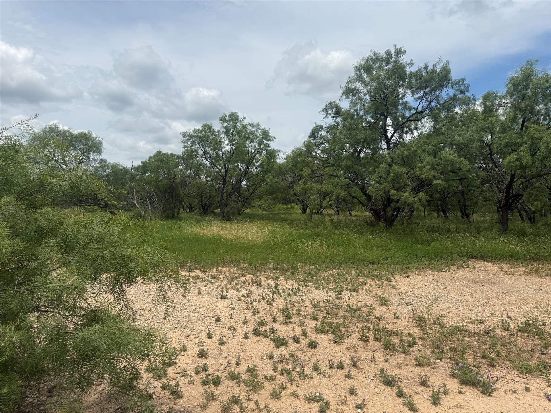 2 acres in Brown County gallery image 4