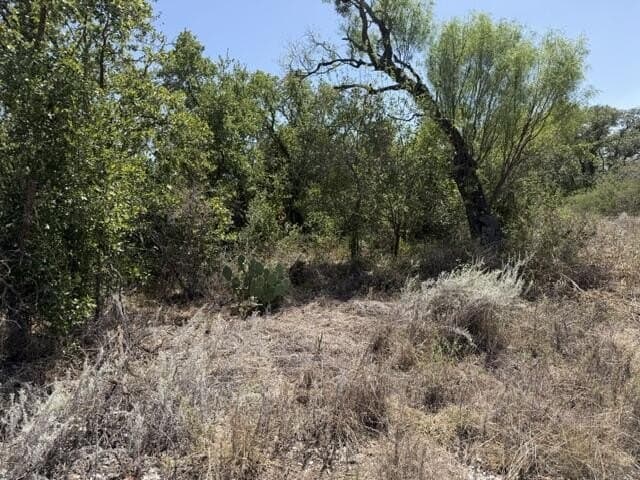 0.48 acres in McCulloch County - photo 3