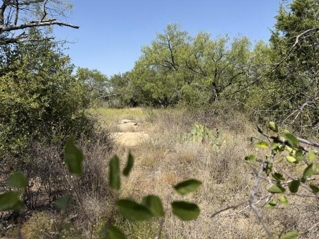 0.48 acres in McCulloch County - photo 7