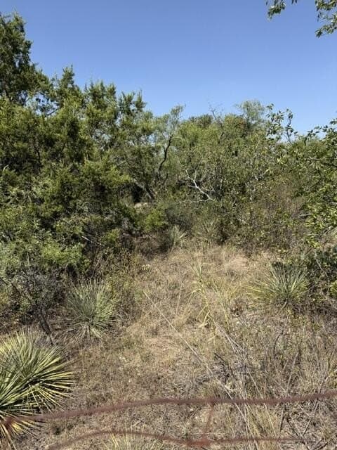 0.48 acres in McCulloch County - photo 5