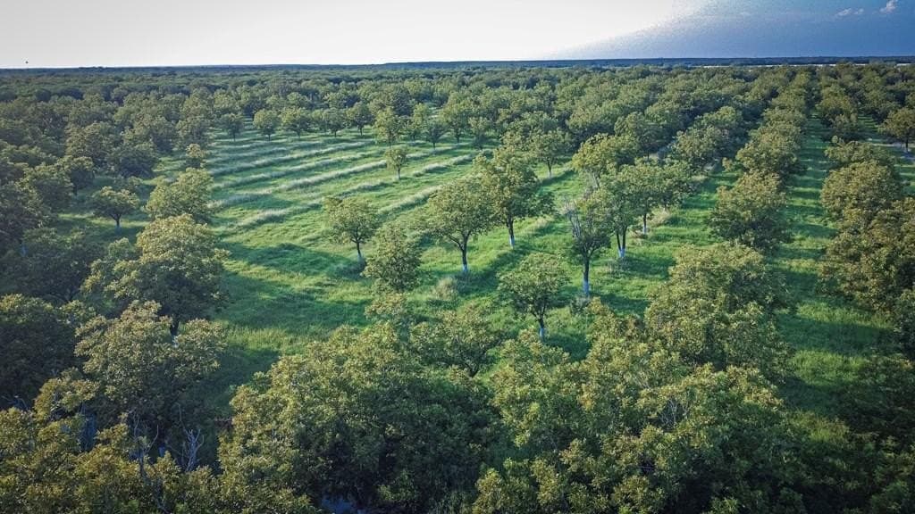 13.13 acres in Maverick County - photo 9