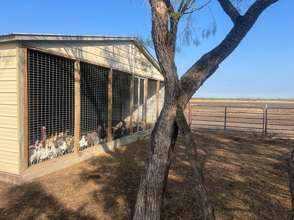 13.13 acres in Maverick County - photo 6