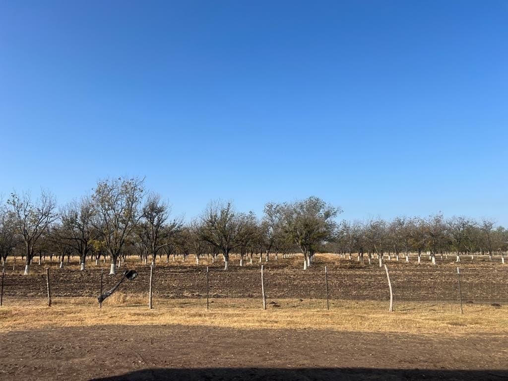13.13 acres in Maverick County gallery image 2