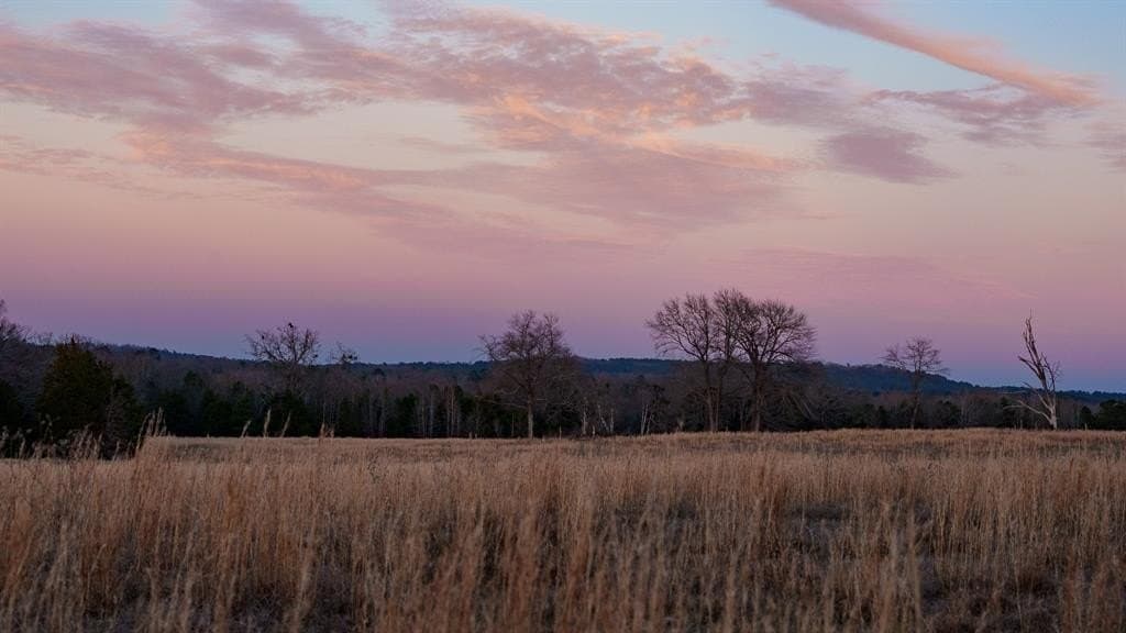 546.5 acres in Smith County gallery image 3