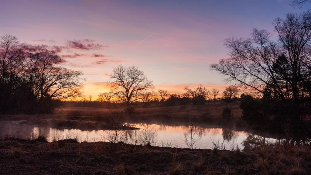 546.5 acres in Smith County featured view