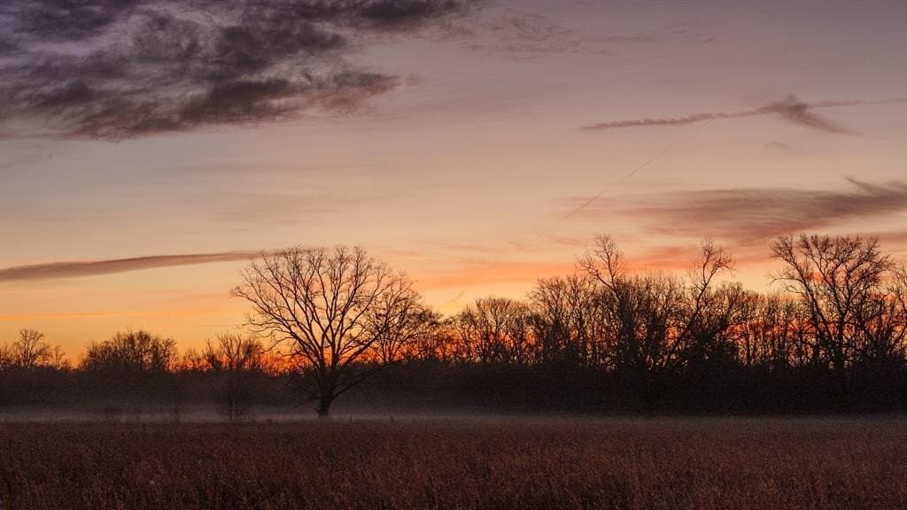 546.5 acres in Smith County gallery image 4