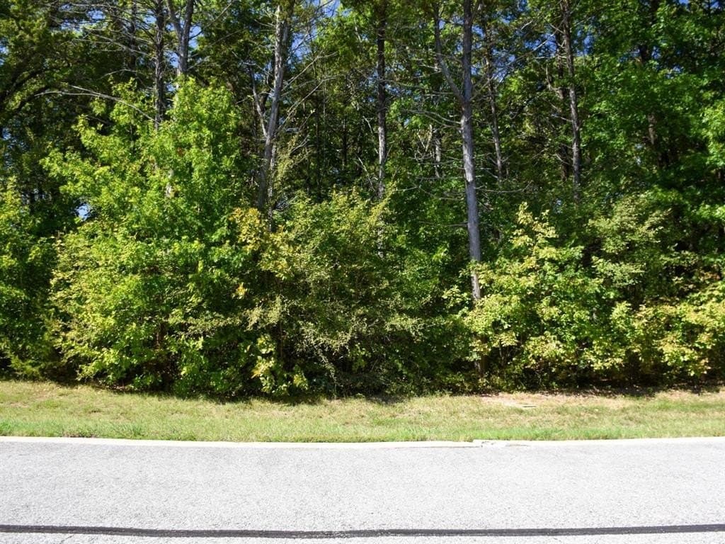 0.16 acres in Grayson County gallery image 4