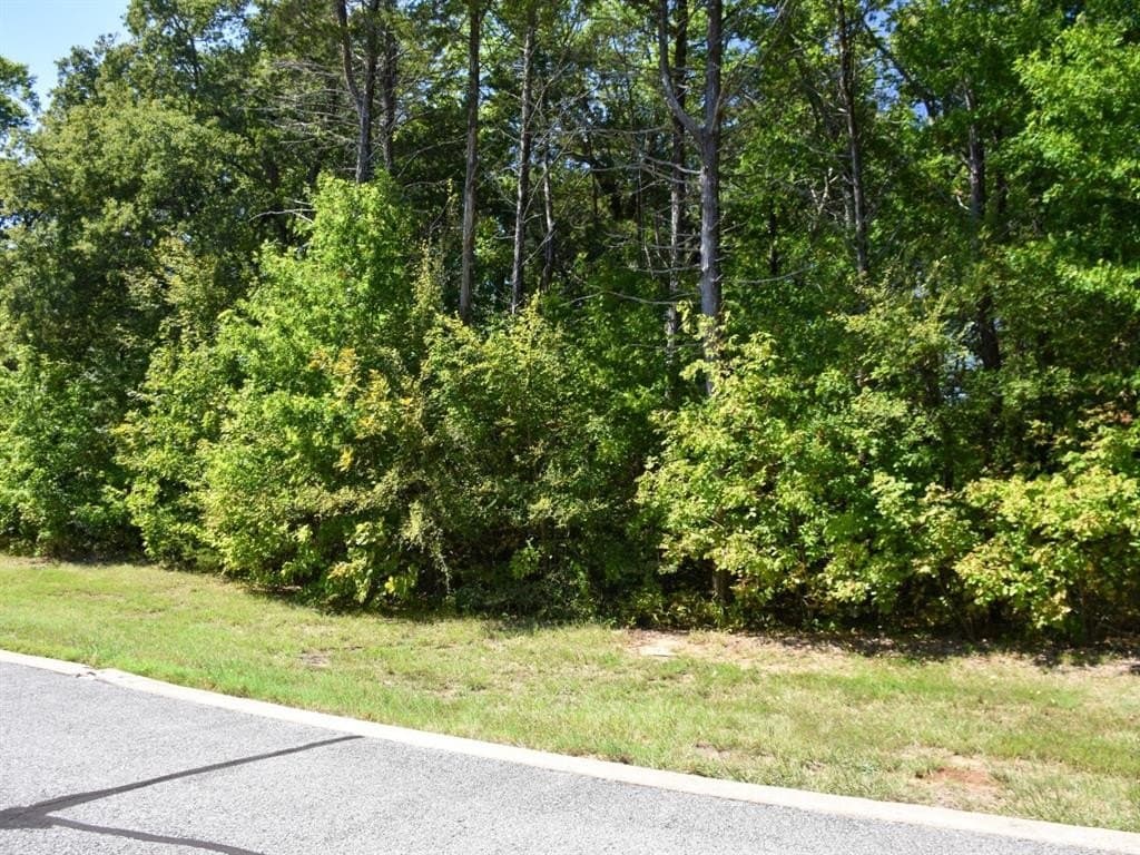 0.16 acres in Grayson County featured view