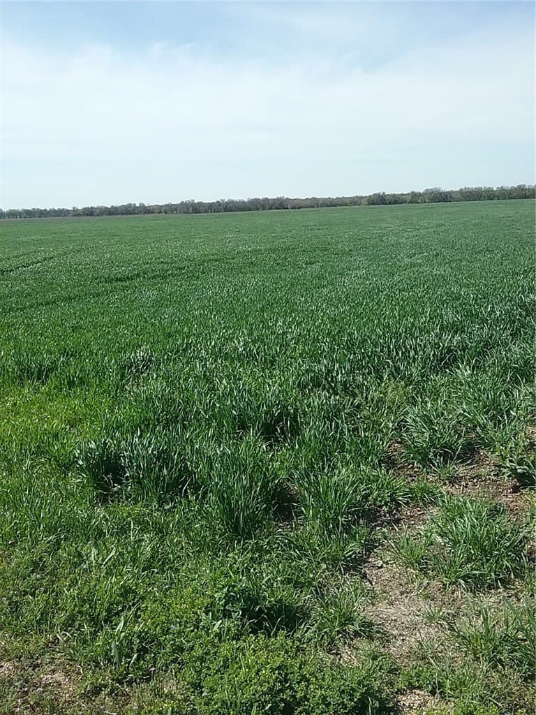 60 acres in Ellis County