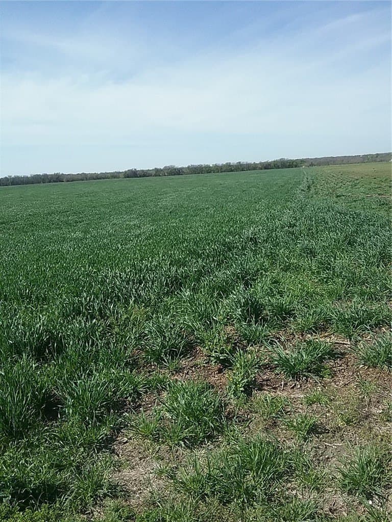 60 acres in Ellis County - photo 2